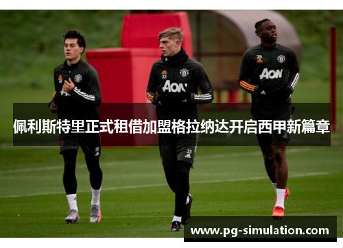 佩利斯特里正式租借加盟格拉纳达开启西甲新篇章 佩利斯特里正式租借加盟格拉纳达开启西甲新篇章